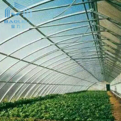 Philippines Prefabricated Kit single-span Strawberry Greenhouse Tunnel Plastic Greenhouse