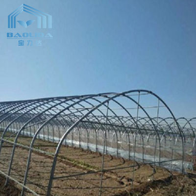 Side Ventilation Tunnel Plastic Greenhouse For Irrigation Hydroponic Growing System