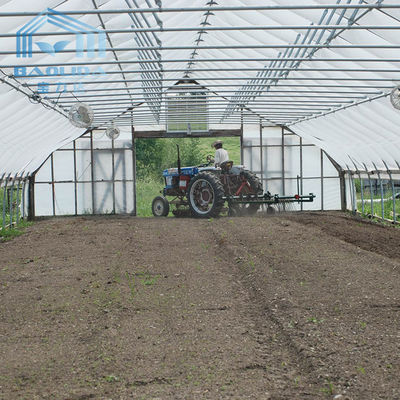 Farmer Agriculture Ventilation Single Span Tunnel Greenhouse Customized Side