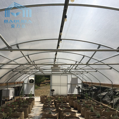 Farmer Agriculture Ventilation Single Span Tunnel Greenhouse Customized Side