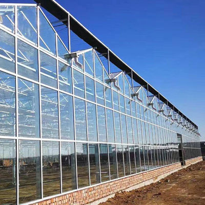 Garden Winter Cover Mushroom Solar Glass Greenhouse Kits Accessories Multi Span