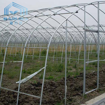 Cucumber Chili Single Span Tunnel Greenhouse With Shading System