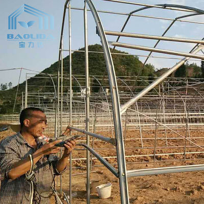 Agriculture Cucumber Chili Single Span Tunnel Plastic Greenhouse With Shading System