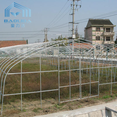 Single Span Side Ventilation Tunnel Greenhouse Customized With Cooling System
