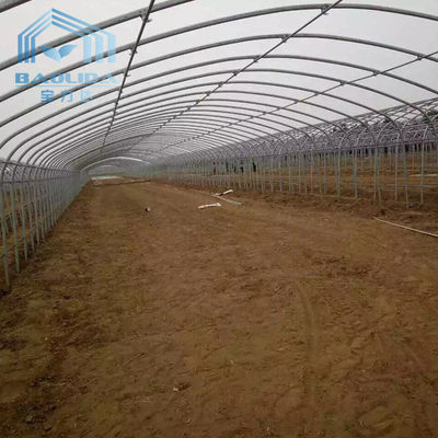 Galvanized Steel Tunnel Plastic Film Greenhouseouse with Shading Net