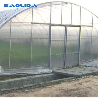 Single Span Plastic Tunnel Greenhouses Polyethylene Film Greenhouse For Vegetables Farming
