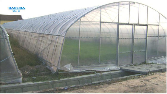Single Span Plastic Tunnel Greenhouses For Vegetables Farming