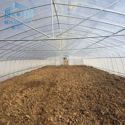 Tomato Single Span Tunnel Greenhouse Side Ventilation Customized With Seedbed System
