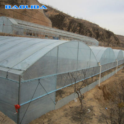 Vegetable Multiple Tunnel Plastic Film Sheet Covering Multi Span Greenhouse