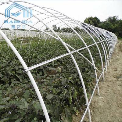 Side Ventilation Tunnel Plastic Greenhouse Cold And Wind Resistant