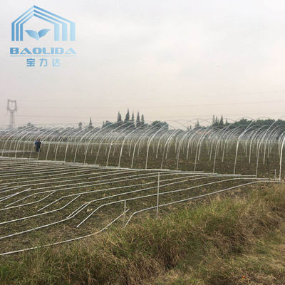 Single Span Tunnel Plastic Greenhouse With Aluminum Plated Zinc Steel Tube