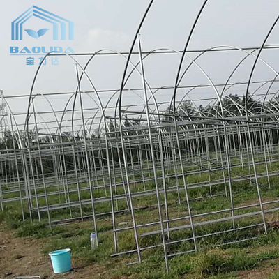 Side Ventilation Single Span Tunnel Greenhouse With Windproof Reinforced Bar