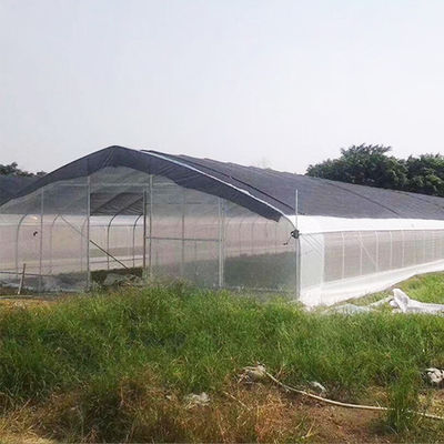 High Strength Agricultural Poly Tunnel Tomato Greenhouse 5*15m 17*50ft