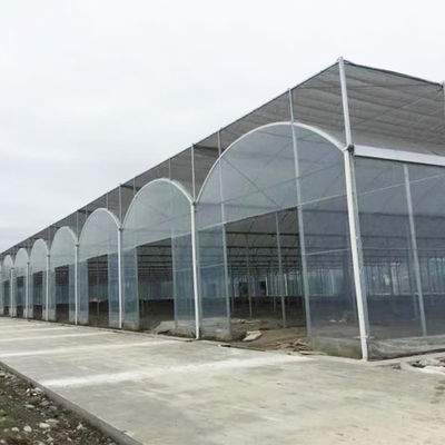 Multi-Span Agricultural Polycarbonate Sheet Greenhouse For Departs Tropical Greenhouse