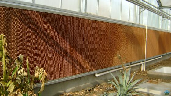 Greenhouse Cooling System Pad With Aluminum / Galvanized / Stainless Steel Frame