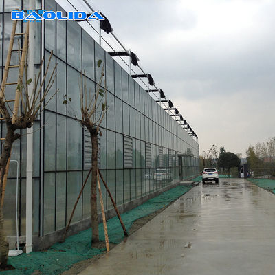 Agriculture FarmingVenlo Type Greenhouse For Fish Vegetable Hydroponics And Aquaponics