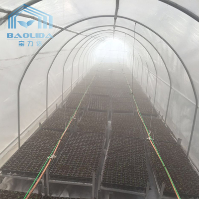 Polycarbonate Poly Tunnel Greenhouse Commercial Multi Span