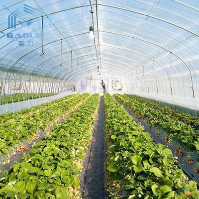 Polycarbonate Poly Tunnel Greenhouse Commercial Multi Span