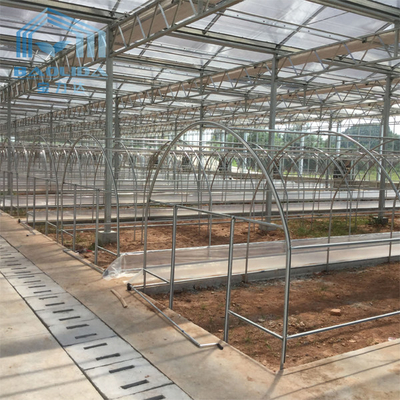 Strawberry Polycarbonate Tunnel Greenhouse Single Span Agricultural