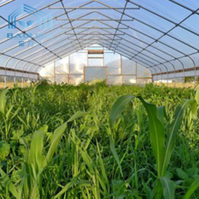 Modern Tunnel Plastic Greenhouse For Tropical Climate Plastic Covering