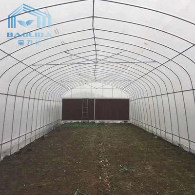 Automated Single Layer High Tunnel Passive Solar Greenhouse For Strawberry