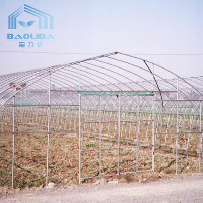 Automated Single Layer High Tunnel Passive Solar Greenhouse For Strawberry
