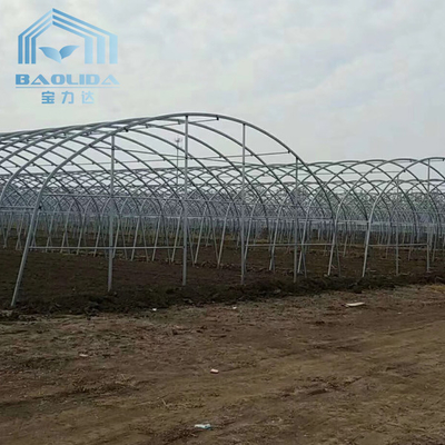 galvanized steel pipe Single-Span Film Commercial Tunnel Plastic Greenhouse for agriculture plants growing
