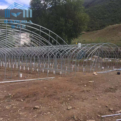 galvanized steel pipe Single-Span Film Commercial Tunnel Plastic Greenhouse for agriculture plants growing
