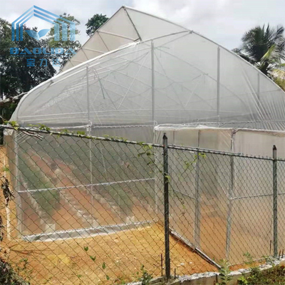 Customized High Tunnel Polytunnel Double Film Greenhouse Sawtooth Tunnel Plastic Greenhouse