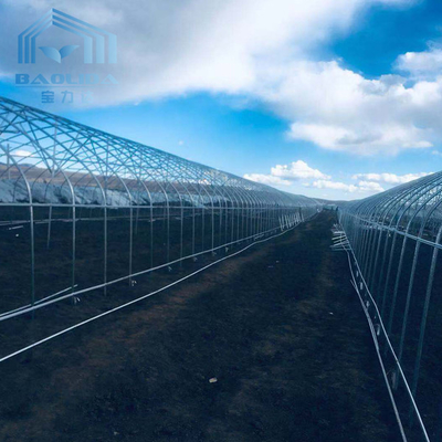 Cold Winter Double Layer Greenhouse Agricultural Snow Resistant