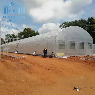 Gothic Tunnel Side Ventilation Greenhouse With Sliding Door