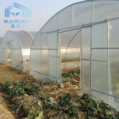 agriculture Plants Round Tunnel Single-span Side Ventilation Tunnel Plastic Greenhouse