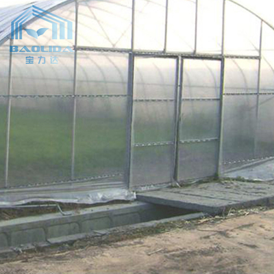 Tropical Plastic Film Cross Top Sawtooth Greenhouse Single Span Tunnel Plastic Greenhouse