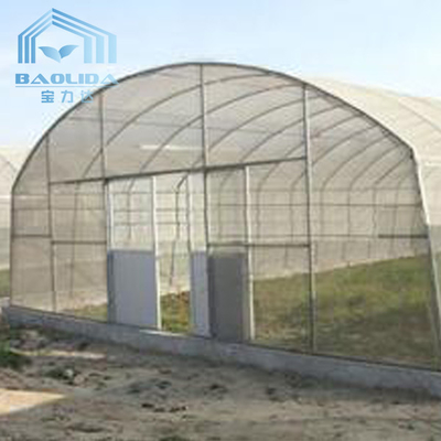 Plastic Tunnel Single Span Greenhouse Agricultural For Strawberry