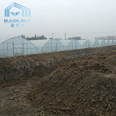 High Tunnel Steel Frame Galvanized Pipe Greenhouse For Plant Growing