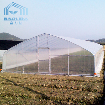 Agricultural Tomatoes Single Layer Greenhouse With 80 Micron Film