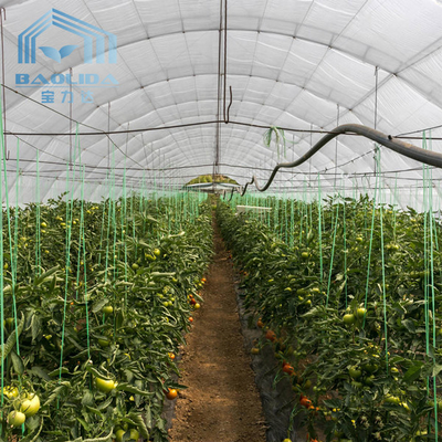 Double Arch Side Ventilation Single Span Greenhouse For Agriculture Strawberry Growing