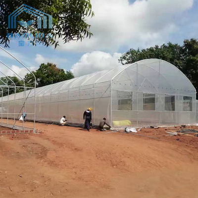 Tropical Gothic High Tunnel Plastic Film Greenhouse For Vegetables Planting