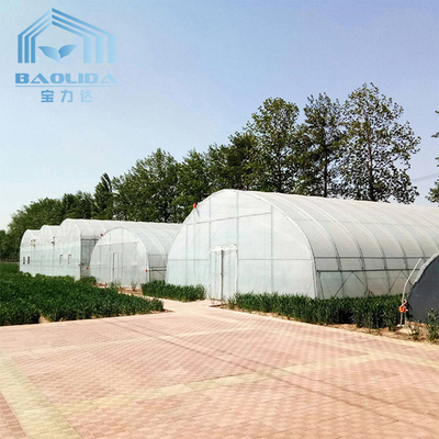 Tropical Gothic High Tunnel Plastic Film Greenhouse For Vegetables Planting