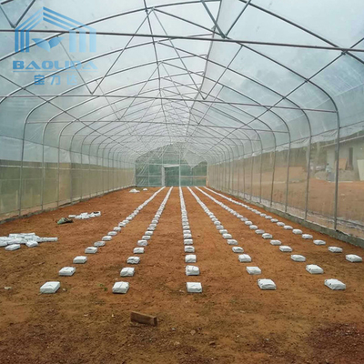 Gothique Tunnel Side Ventilation Tunnel Plastic Greenhouse With 2m Sliding Door
