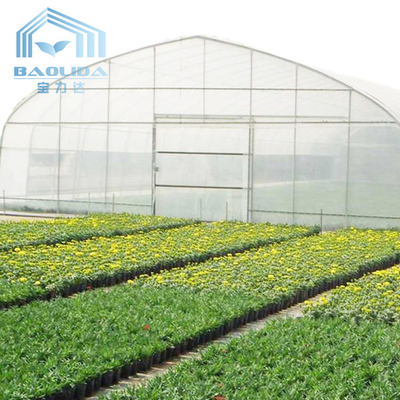 Plastic Tunnel Strawberries Agricultural Farm House With Ventilation System
