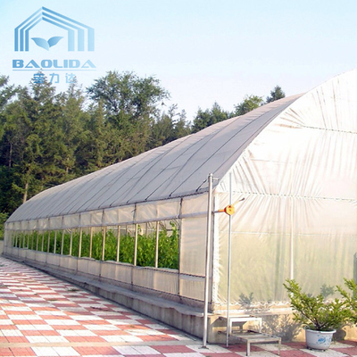 Plastic Tunnel Strawberries Agricultural Farm House With Ventilation System