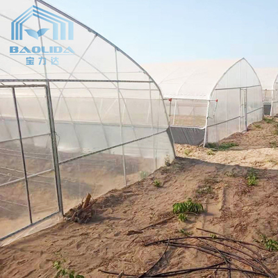 Winter Garden Plant Solar Warm Tunnel Plastic Greenhouse With Heater