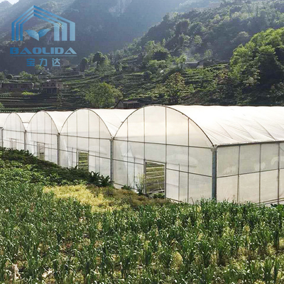Side Ventilation Tunnel Plastic Film Commercial Greenhouse Kits In Tropical Area