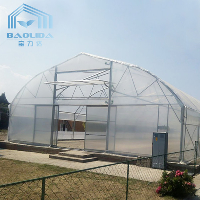 Agriculture Cucumber Chili Single Span Tunnel Plastic Greenhouse With Shading System