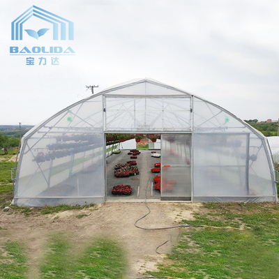 Aquaponics Growing System Greenhouse Steel Pipe Structure Hoop Tunnel Greenhouse