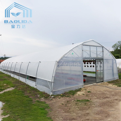 Roof Ventilation Tunnel Plastic Greenhouse With Cooling System