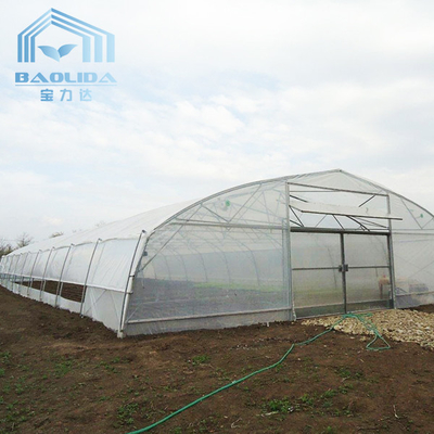 Plants Growing System Greenhouse Steel Pipe Structure Hoop Tunnel Plastic Greenhouse