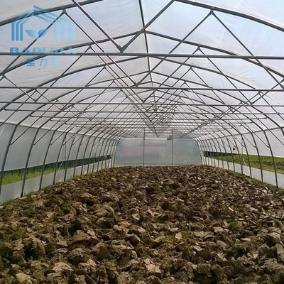 Farming Singlespan Tunnel Greenhouse With Irrigation And Hydroponic Growing System
