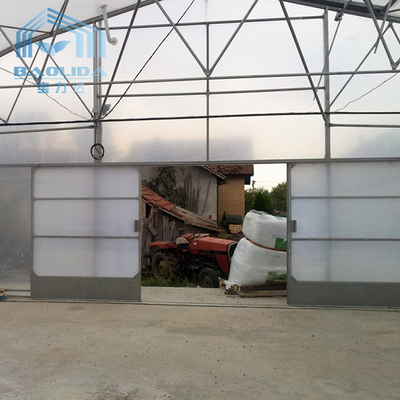 Tomato Poly Greenhouse Agricultural Tunnel Plastic Greenhouse For Drip Irrigation Equipment